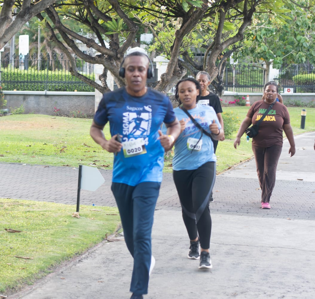 IMG_2830 Children playing on bounce-about